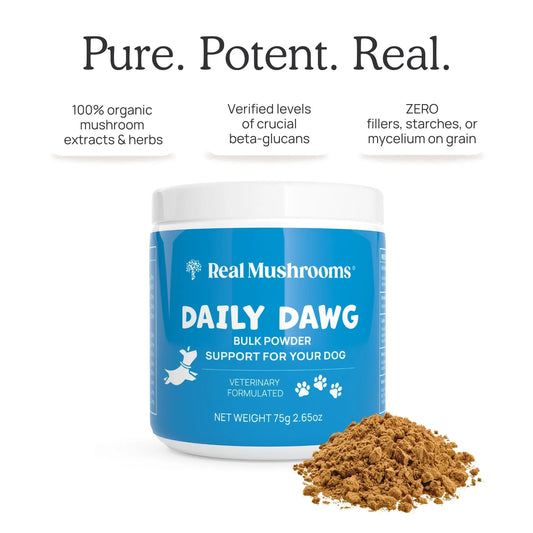 Real Mushrooms --- Daily Dawg