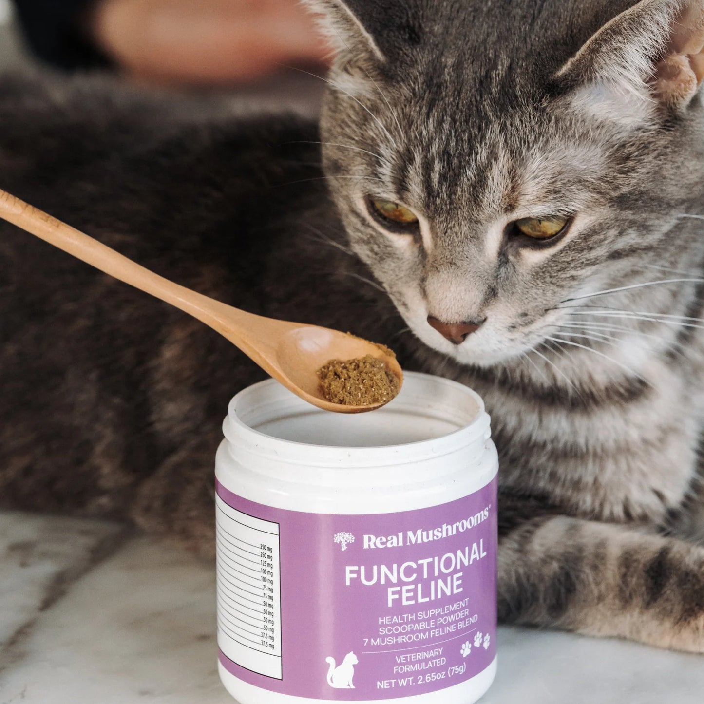 Real Mushrooms --- Functional Feline