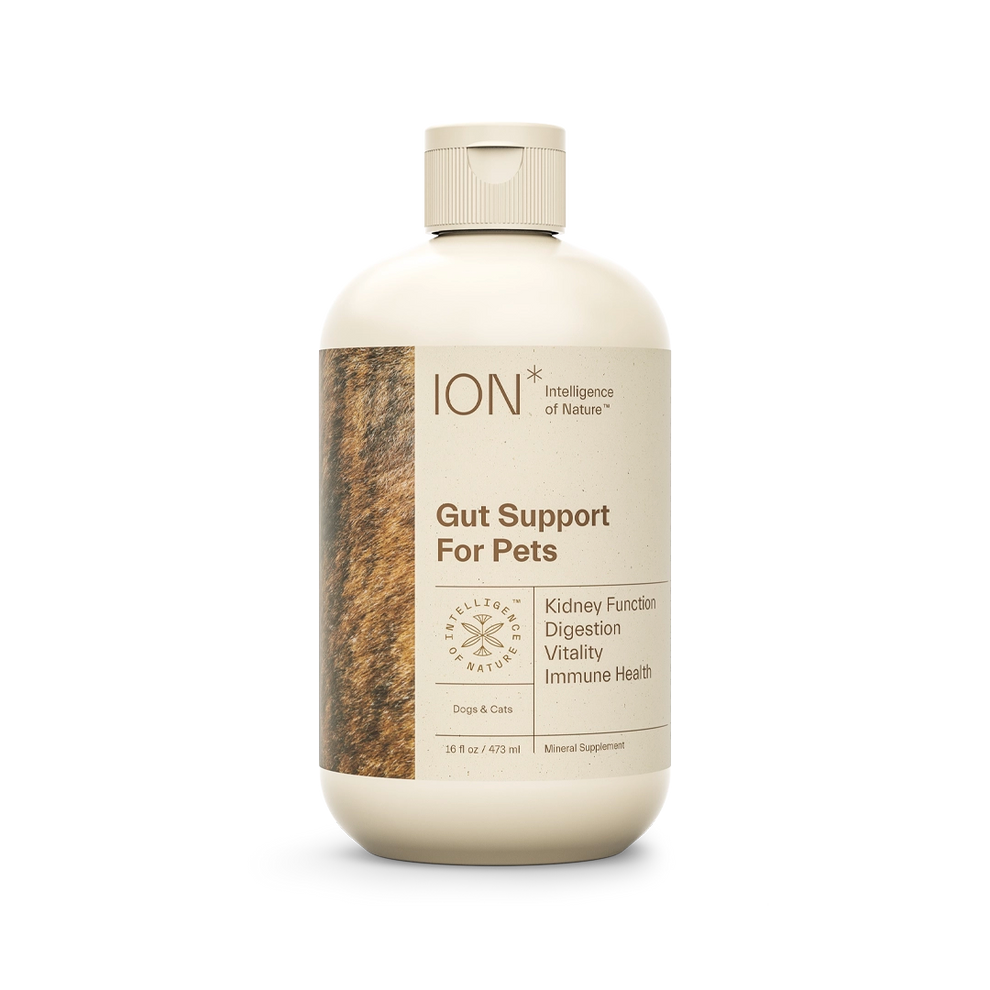 ION* Gut Support