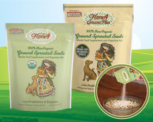 Carna4 Flora4 Sprouted Seeds