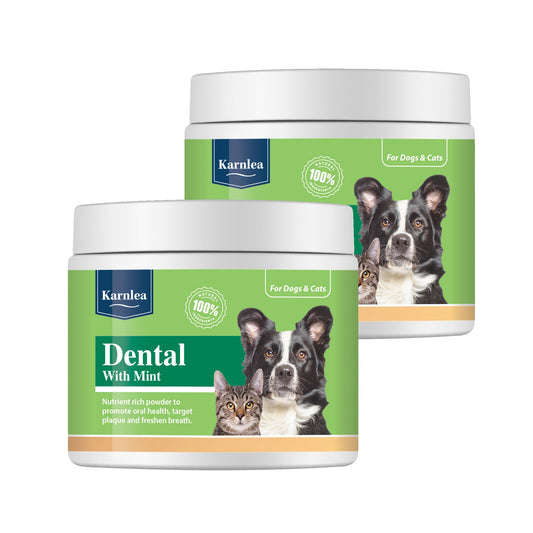 Dental with Mint Topper - 7 oz