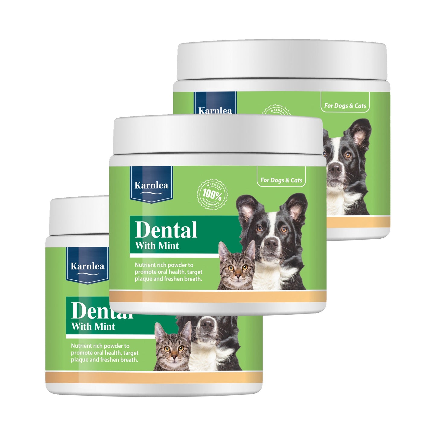 Dental with Mint Topper - 7 oz