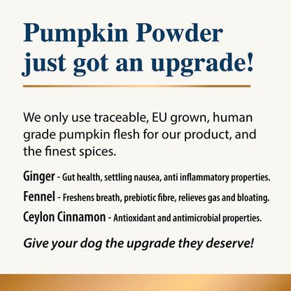 Pumpkin & Spice Powder Topper - 7 oz