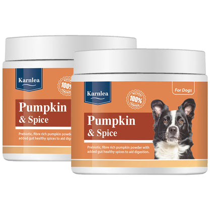 Pumpkin & Spice Powder Topper - 7 oz