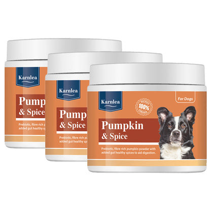 Pumpkin & Spice Powder Topper - 7 oz