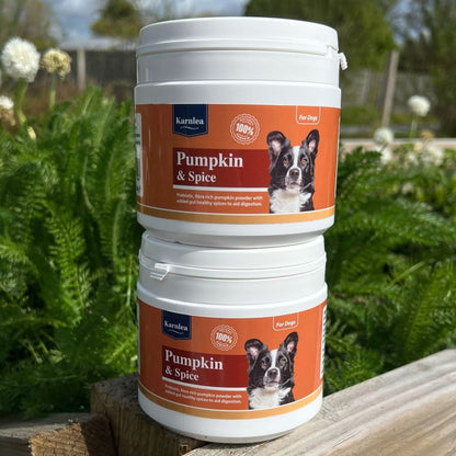 Pumpkin & Spice Powder Topper - 7 oz