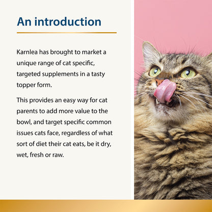 Appetite - Fussy Eaters for Cats