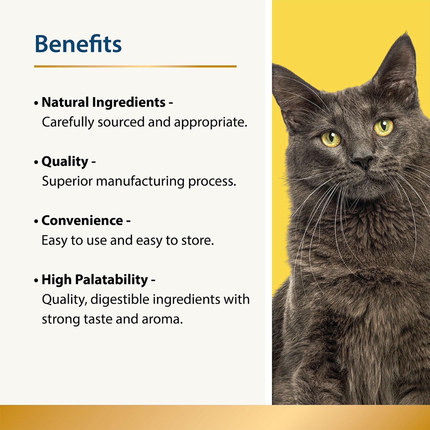 Appetite - Fussy Eaters for Cats