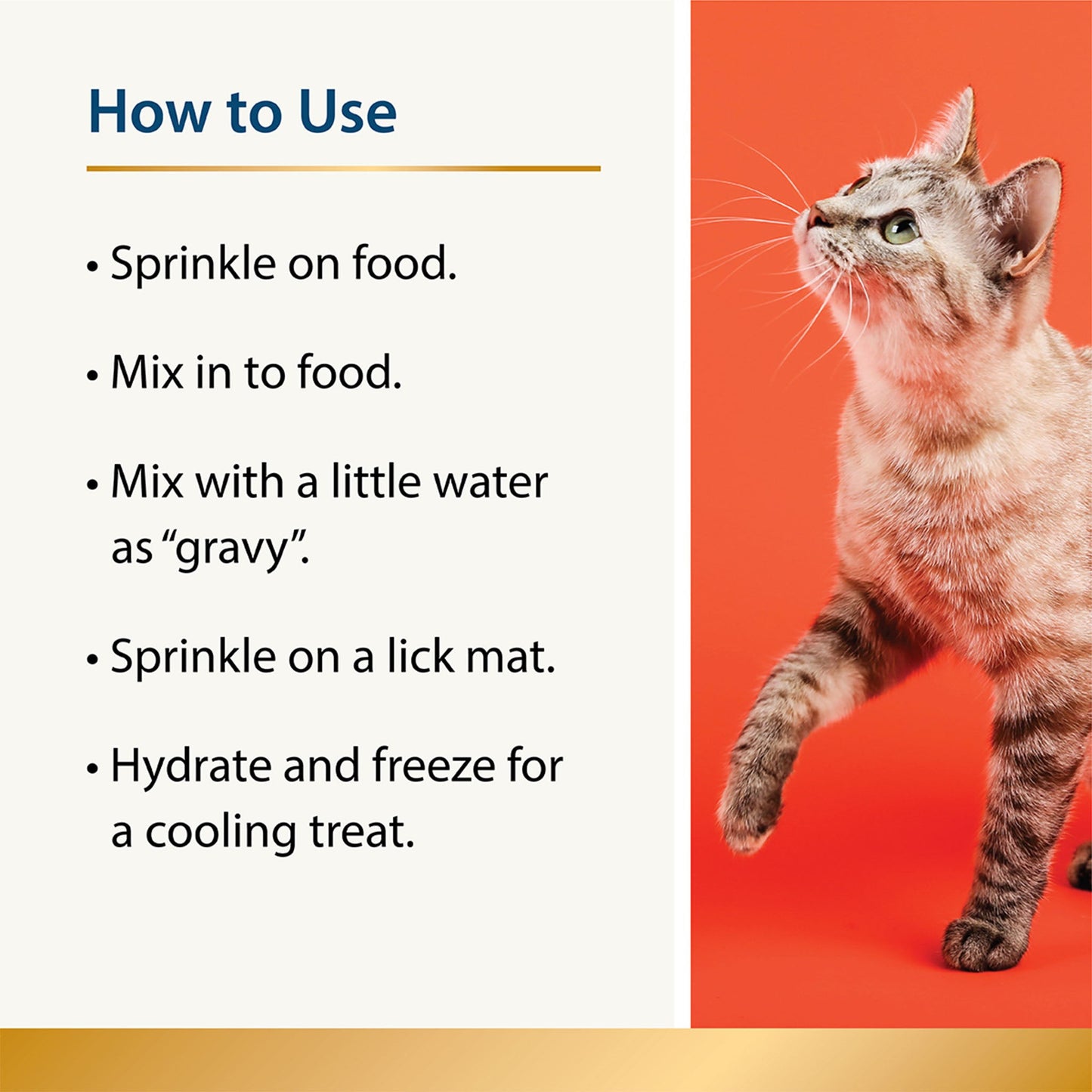 Appetite - Fussy Eaters for Cats