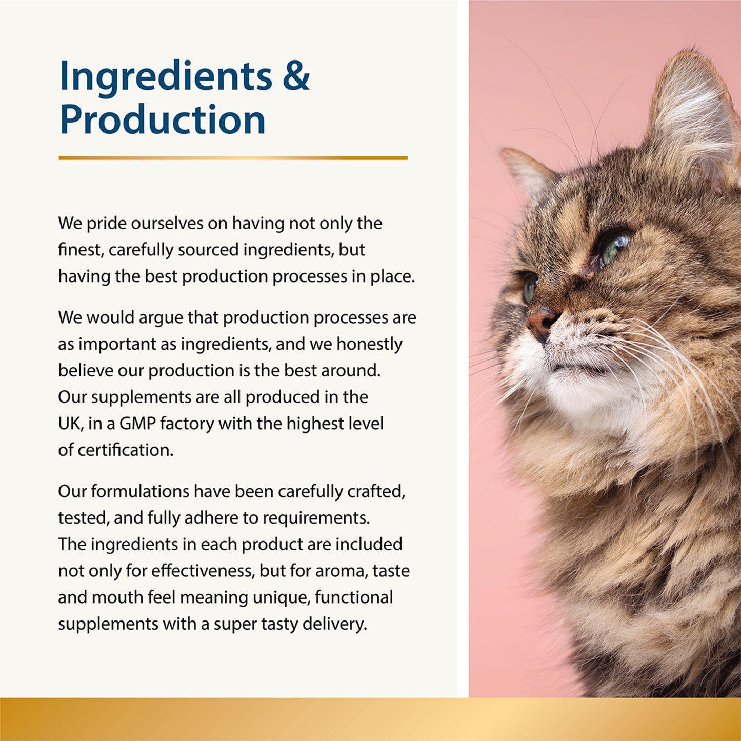 Beauty - Skin & Coat for Cats
