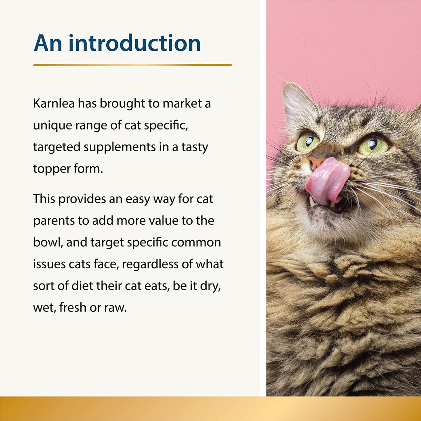Chilled - Calming Aid for Cats