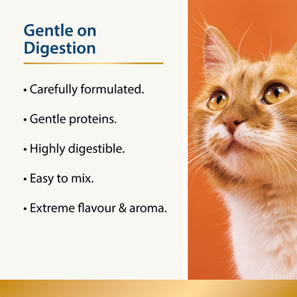 Chilled - Calming Aid for Cats