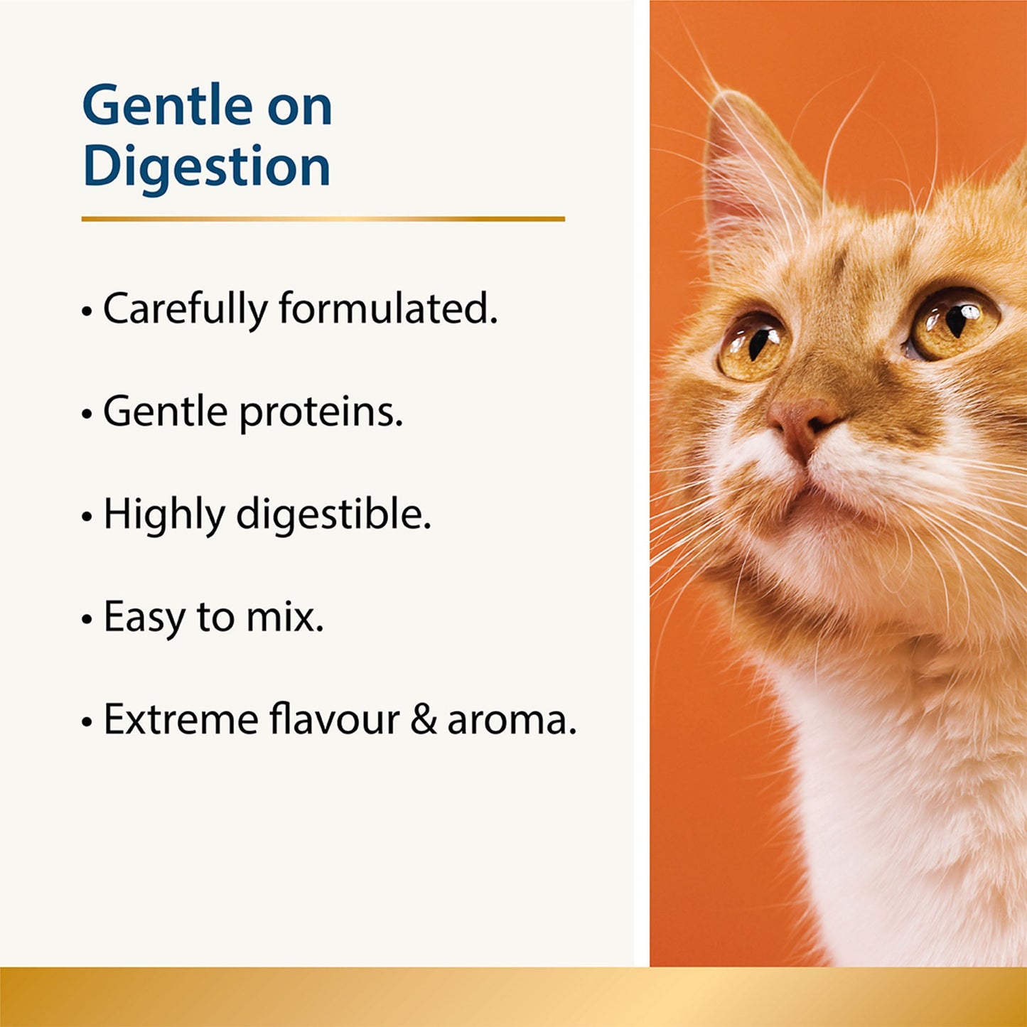Hydrate - Hydration Aid for Cats