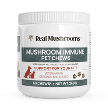 Load image into Gallery viewer, Real Mushrooms -- Mushroom Immune Pet Chews
