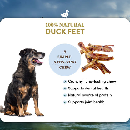 Duck Feet - Dog Treats