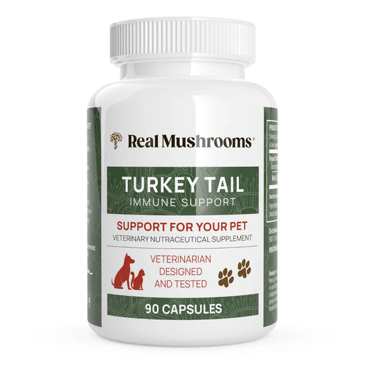 Real Mushrooms --- Organic Turkey Tail Extract