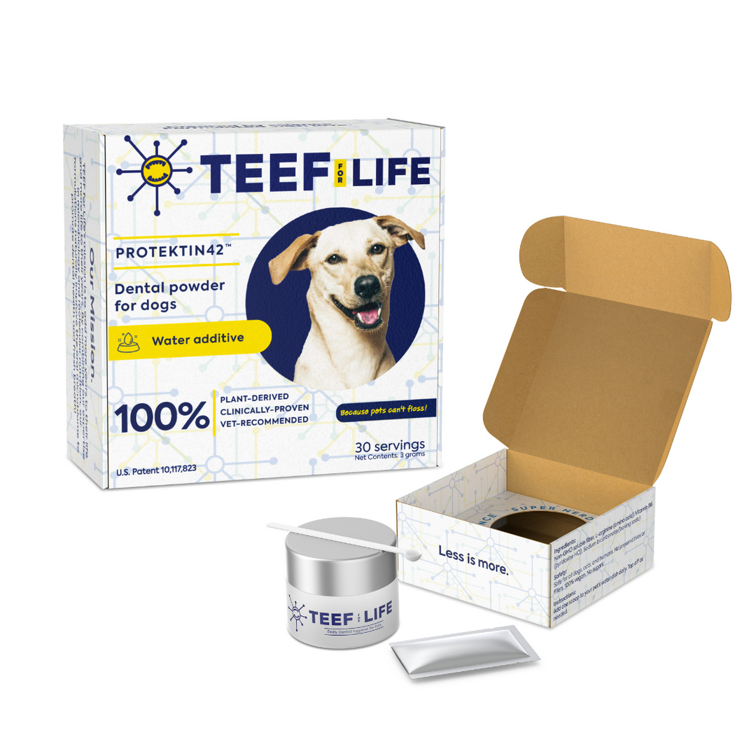 TEEF! - Protektin42™ - Drinkable Dental Health