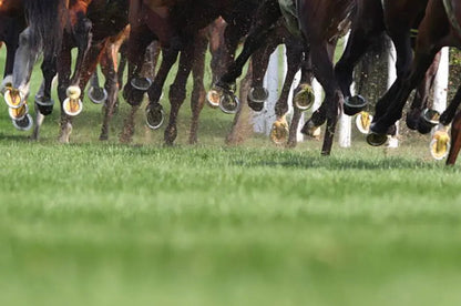 Tvati Equine