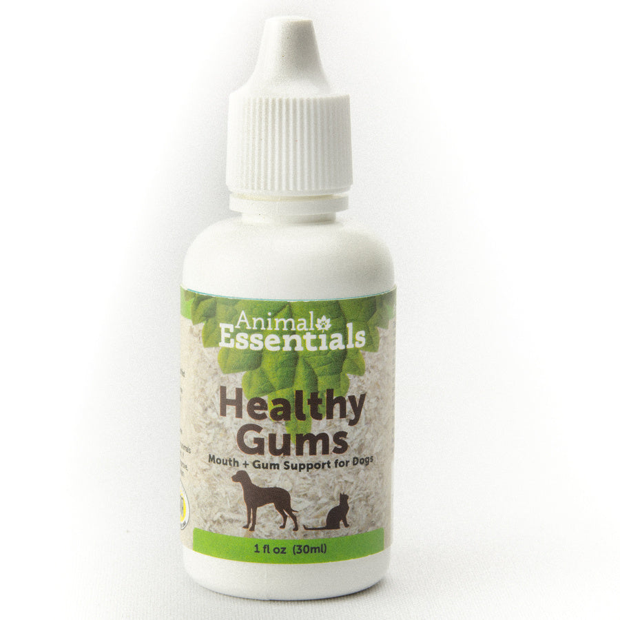 Animal Essentials Healthy Gums