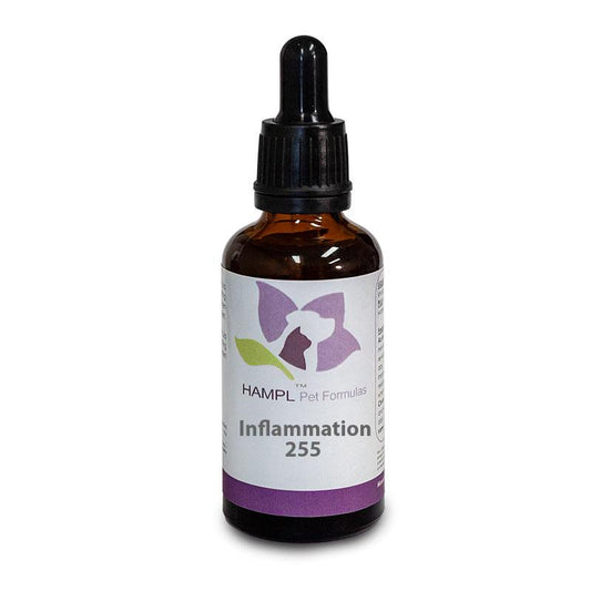 HAMPL Homeopathic Acute Inflammation 30ml